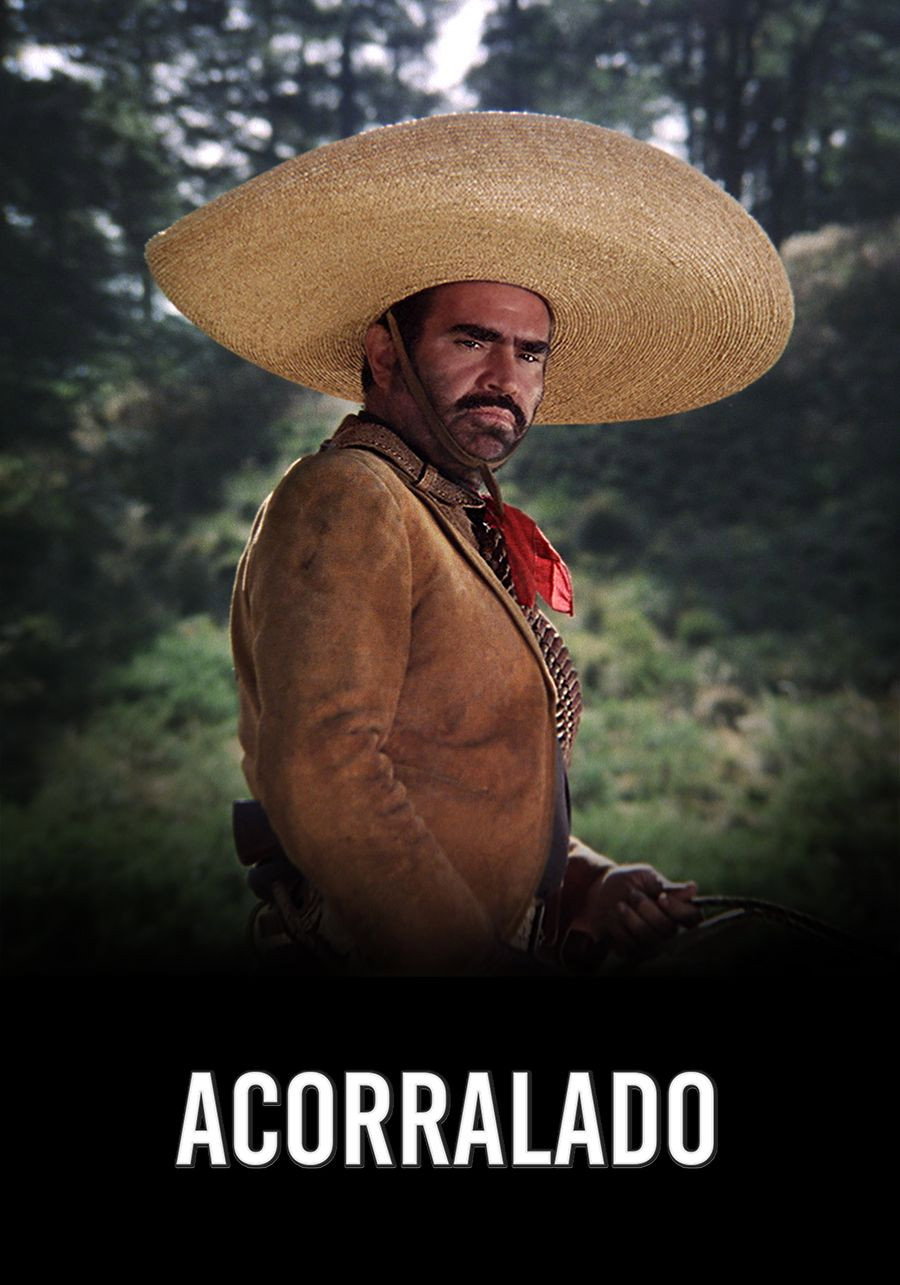 Acorralado