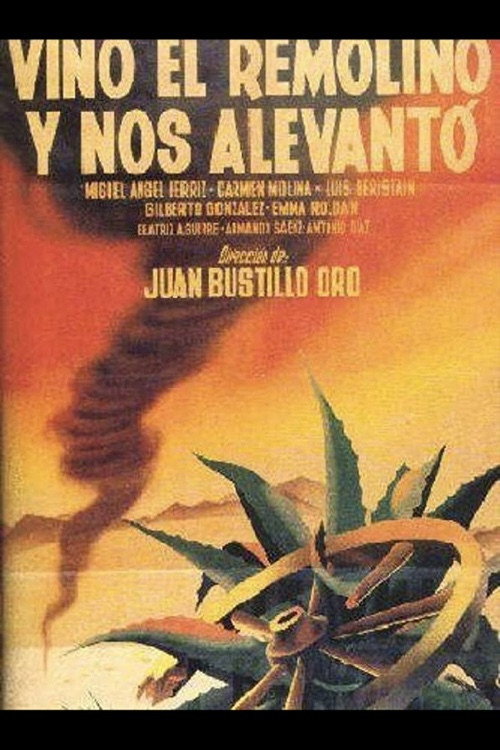 Vino el remolino y nos alevantó