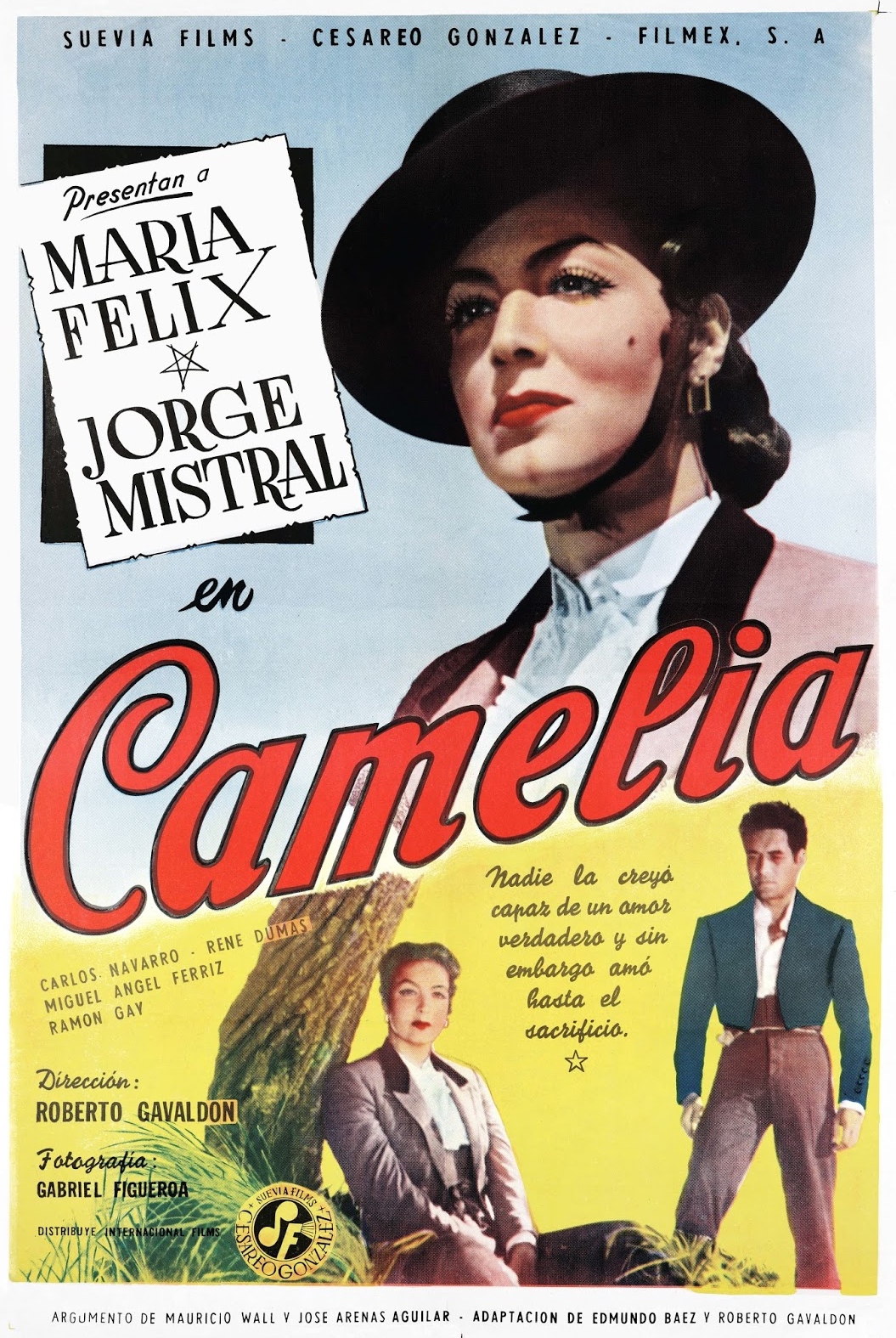 Camelia