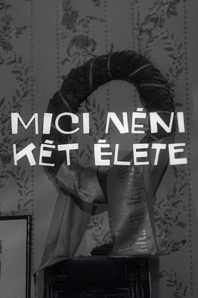 Две жизни тети Мицци