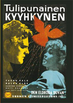 Tulipunainen kyyhkynen
