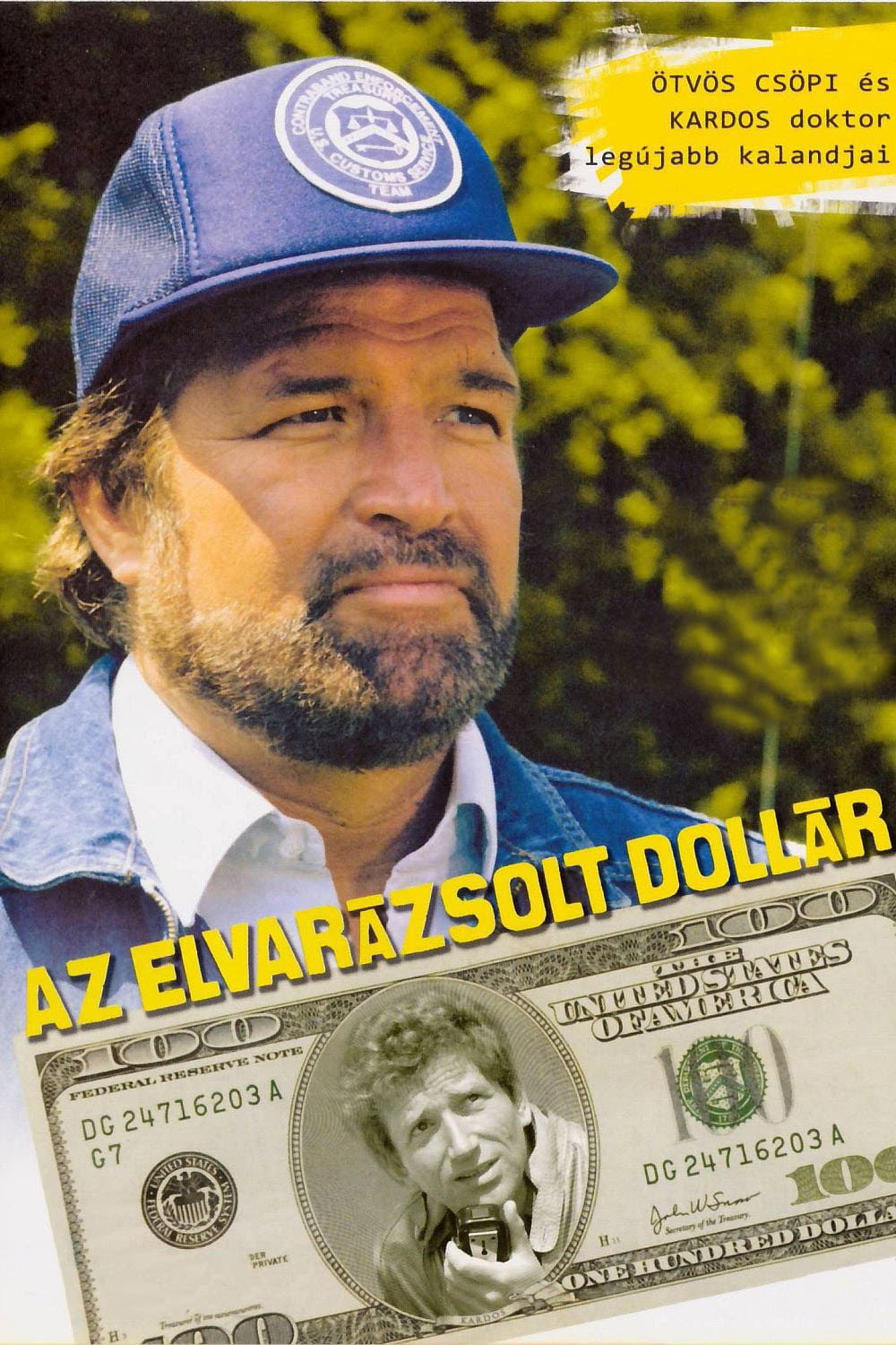 Die verzauberten Dollars