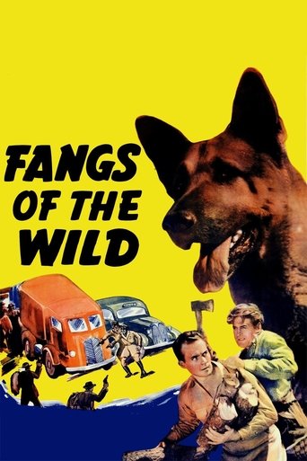 Rin Tin Tin