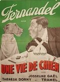 Une vie de chien