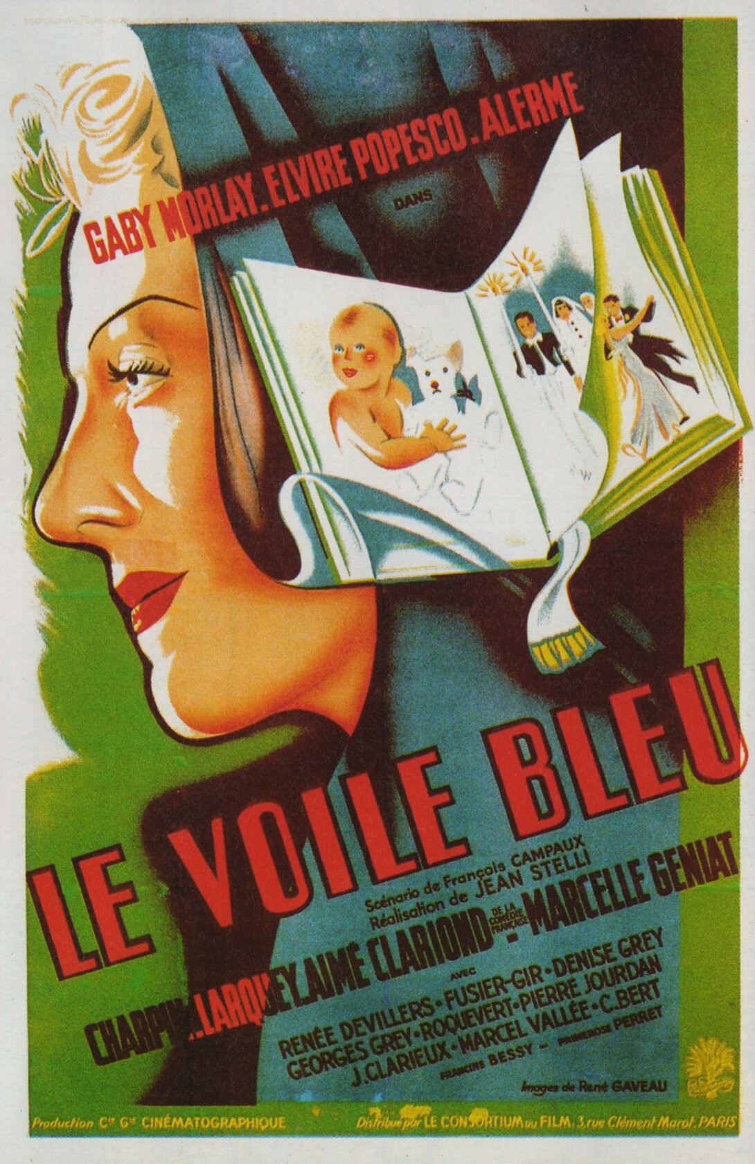 Der blaue Schleier