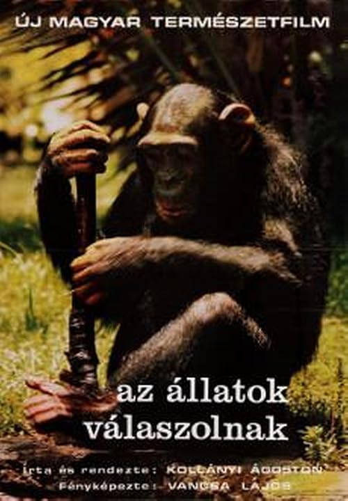 Az állatok válaszolnak