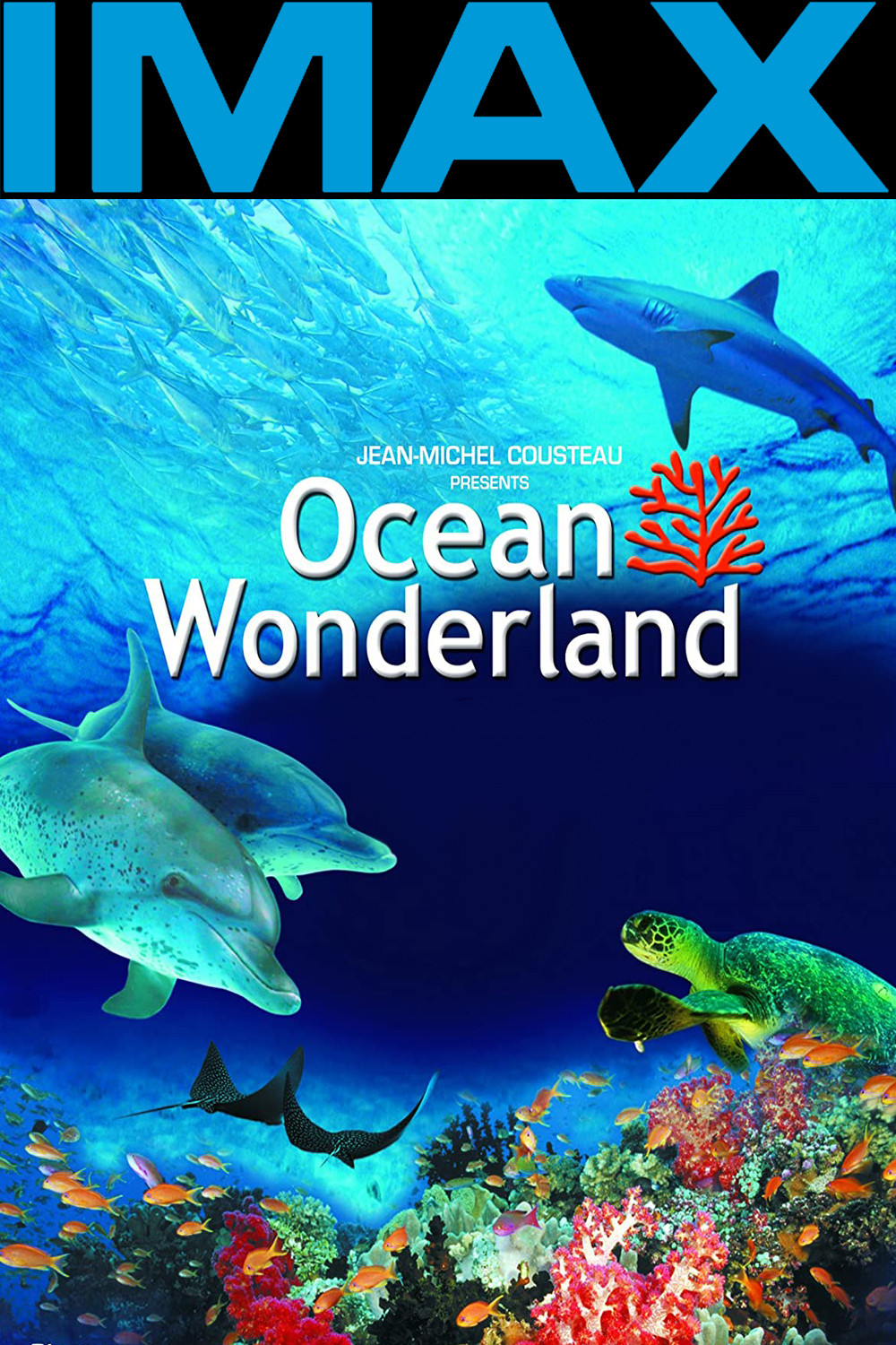 Wunderwelt Ozeane 3D