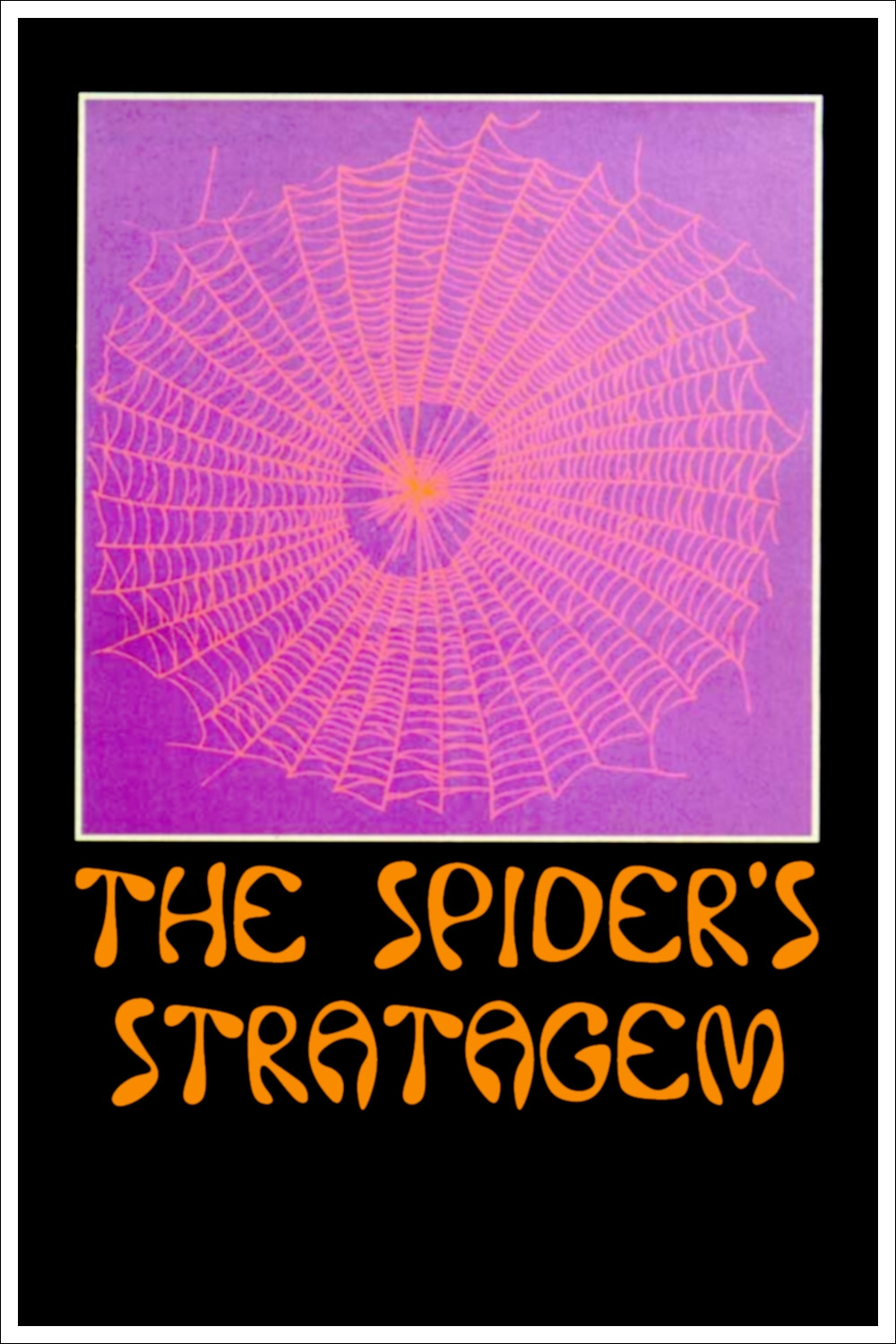 Die Strategie der Spinne