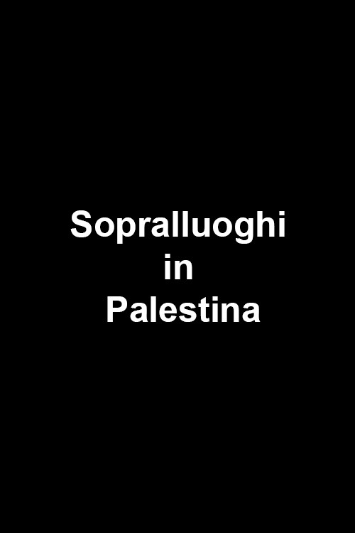 Sopralluoghi in Palestina per il vangelo secondo Matteo