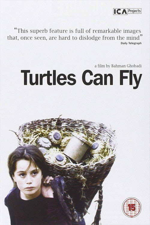 Schildkröten können fliegen