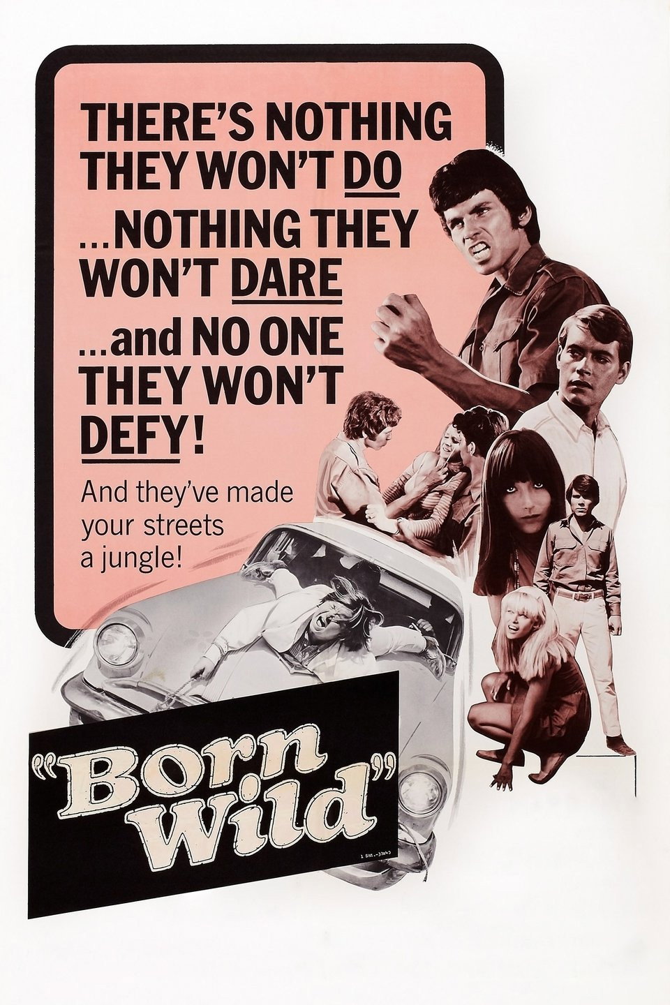 The Young Animals