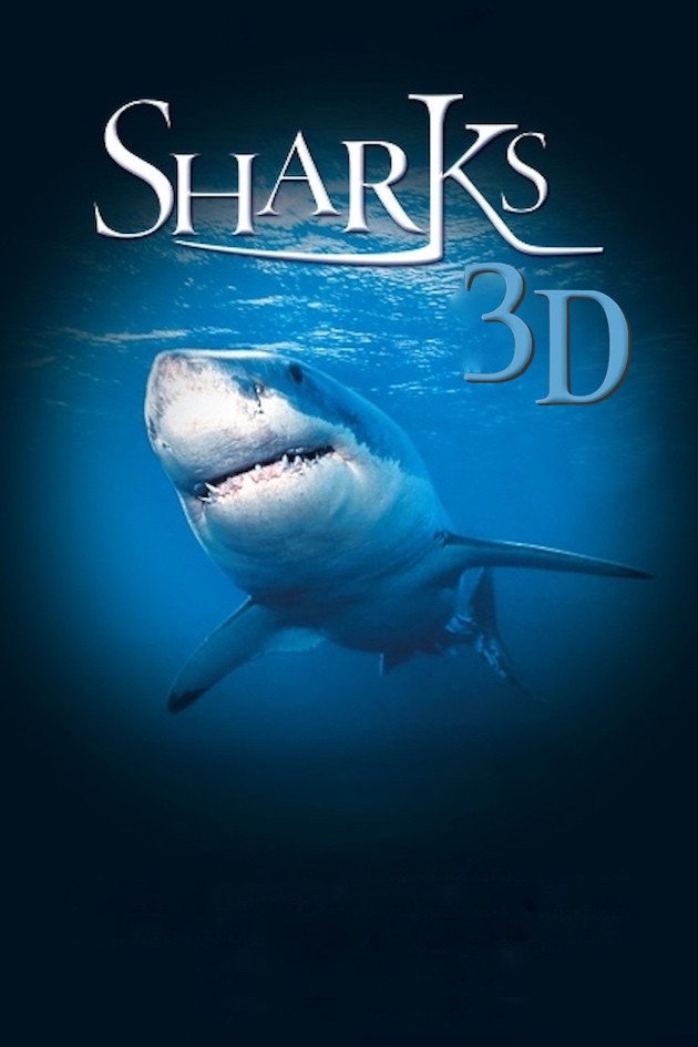 Haie 3D