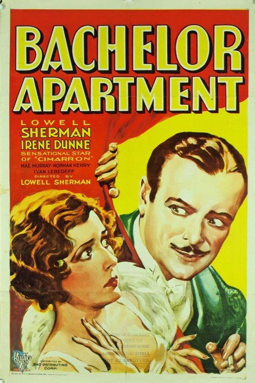 Bachelor Apartment