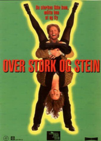 Über Storch und Stein