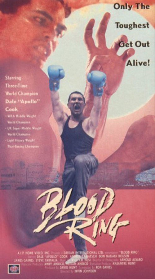 Bloodfight 4 - Die Abrechnung im Ring