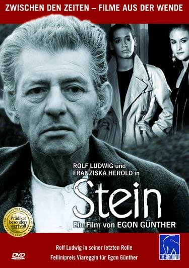 Stein
