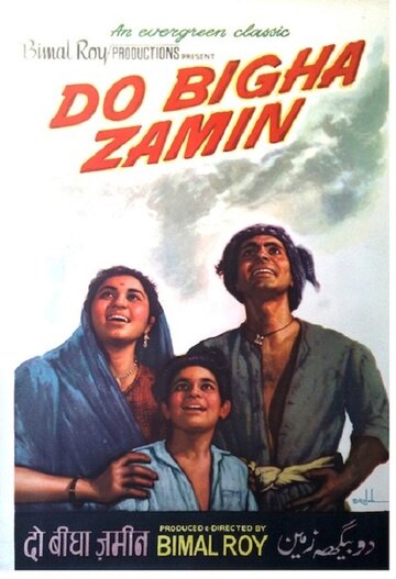 Zwei Hektar Land