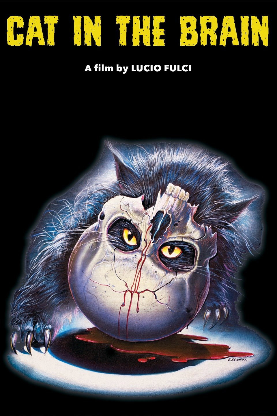 A Cat in the Brain