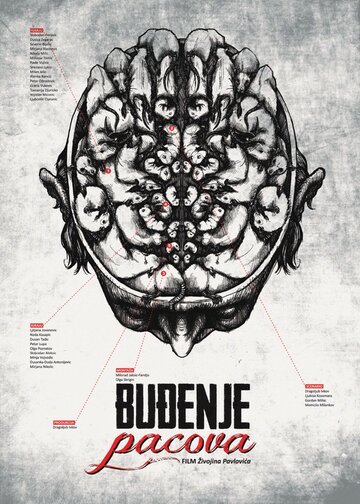 Budjenje pacova