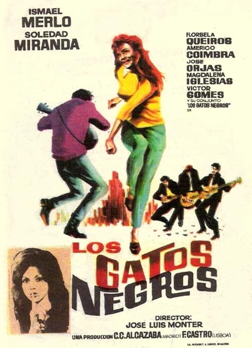 Los gatos negros