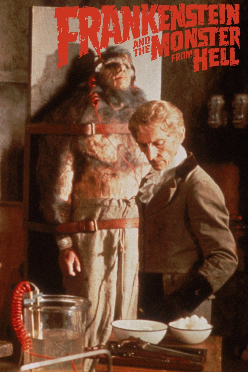 Frankenstein and the Monster from Hell