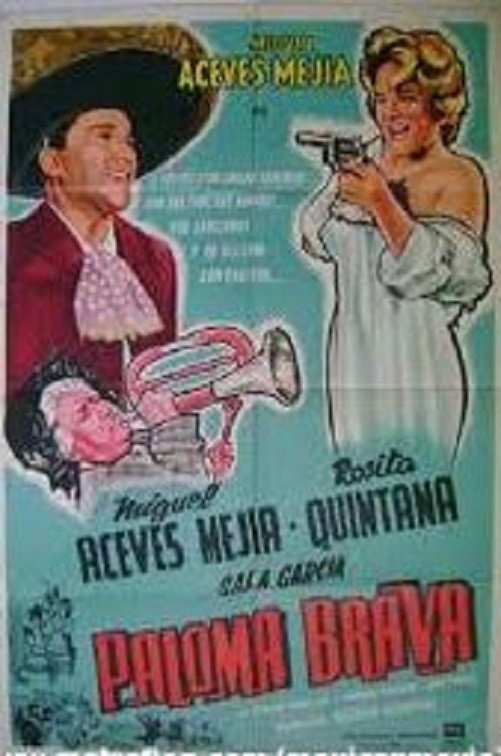 Paloma brava