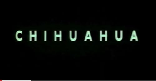 Chihuahua