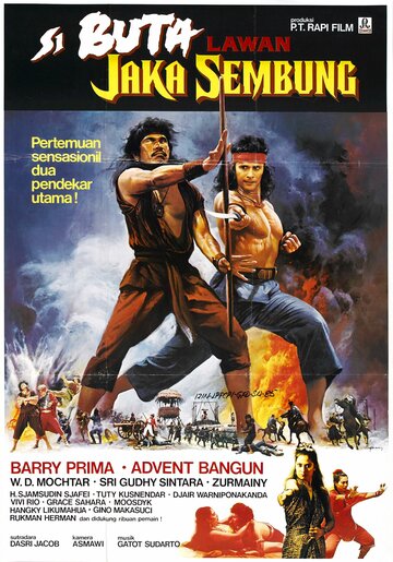 The Warrior and The Blind Swordsman