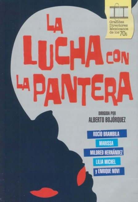 The Fight with the Panther