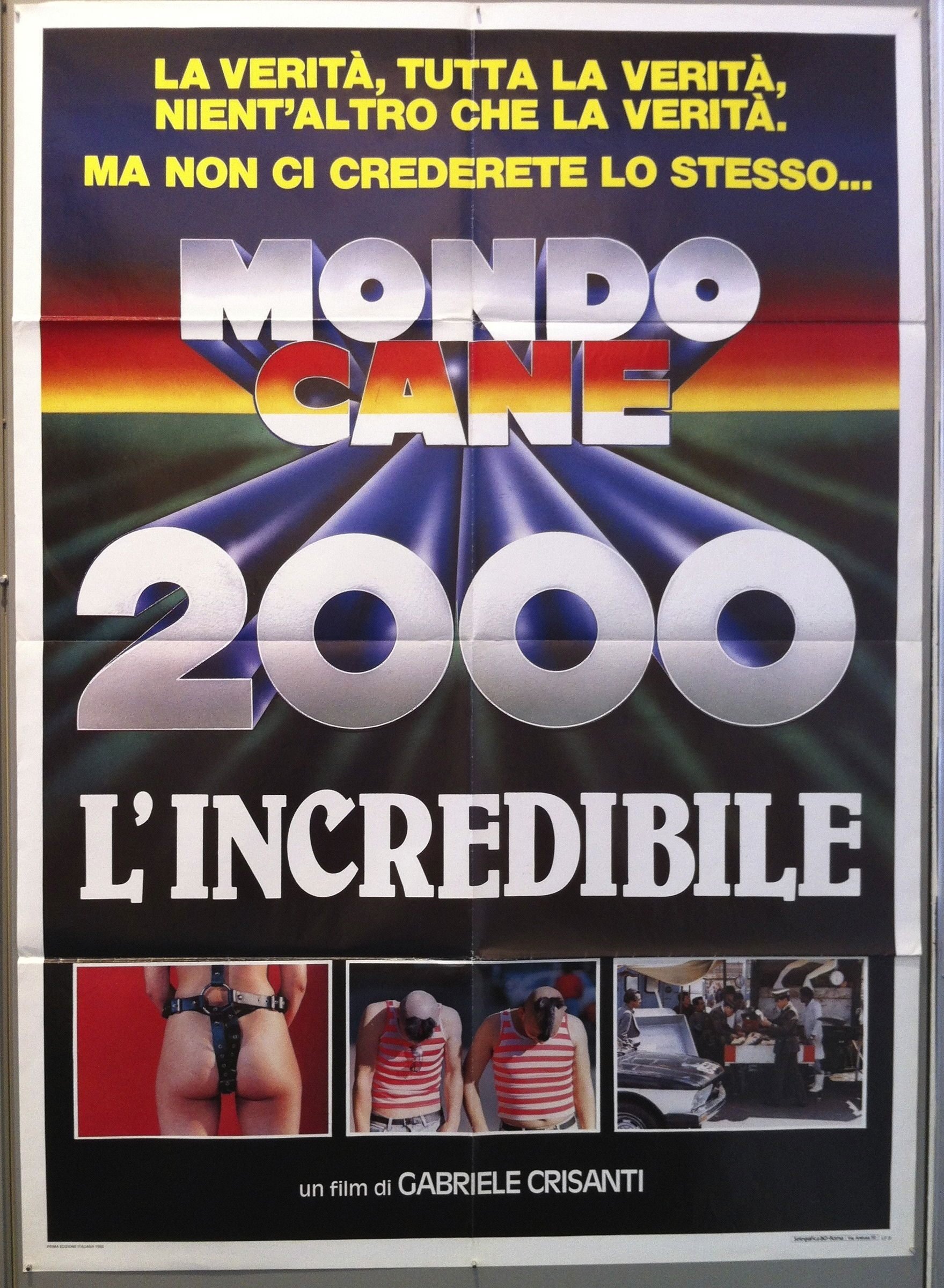 Невероятный собачий мир 2000