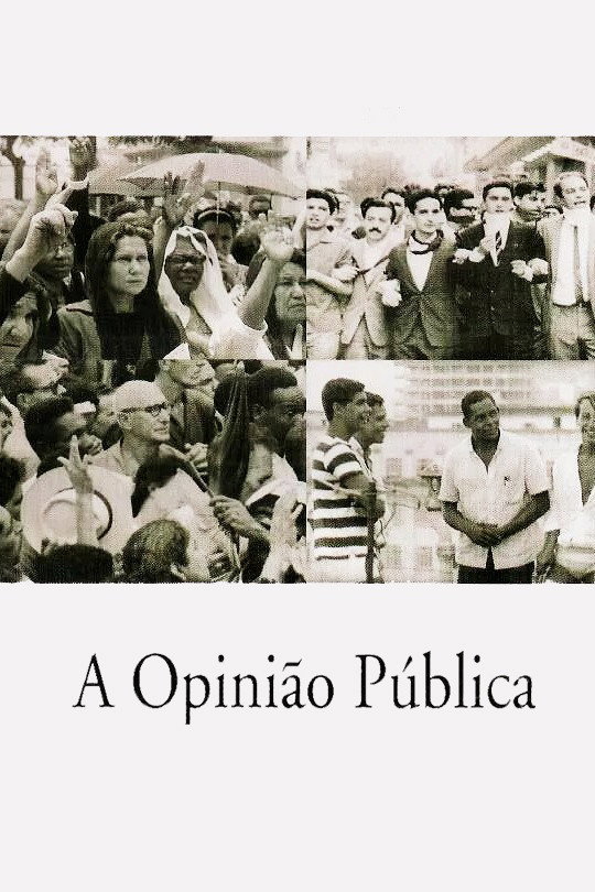A Opinião Pública