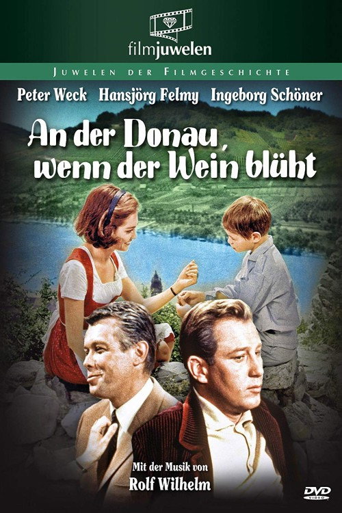An der Donau, wenn der Wein blüht