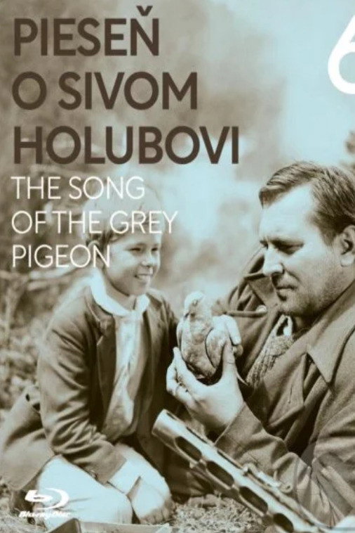 Песня о сизом голубе