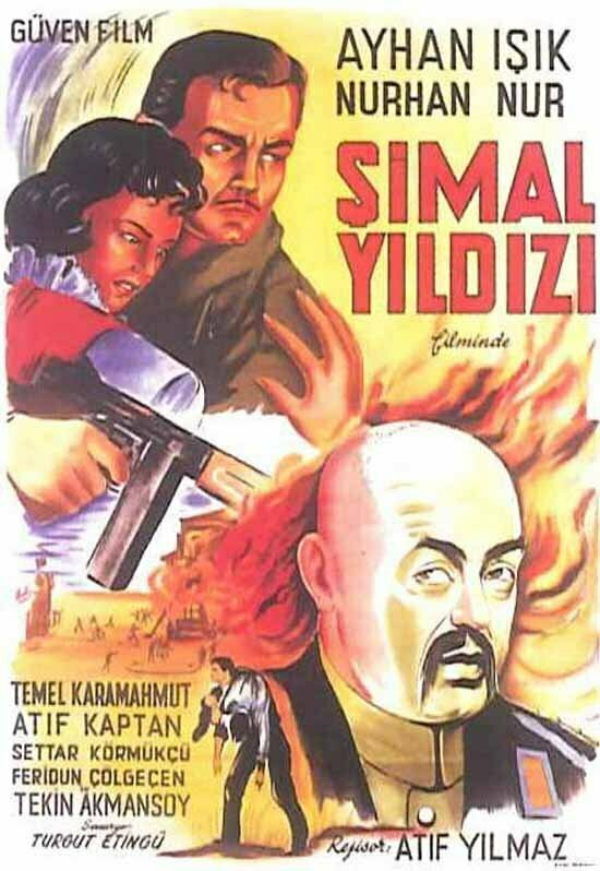Simal yildizi