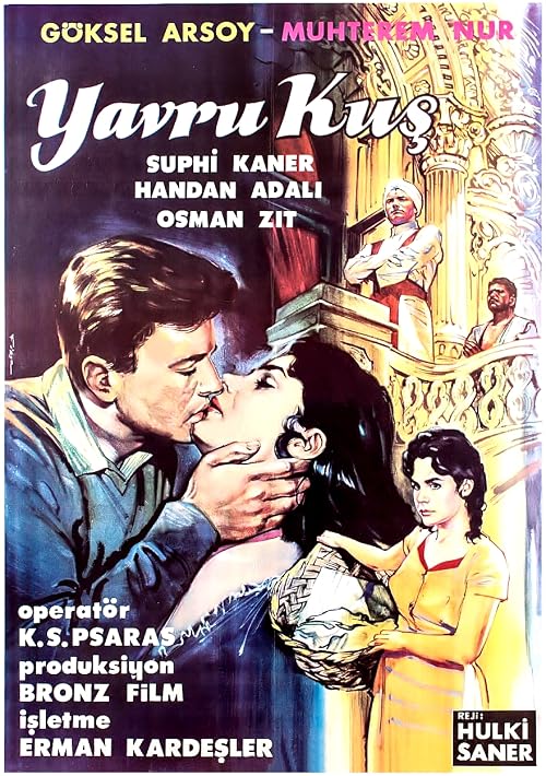 Yavru kus