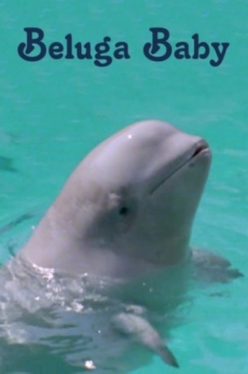 Beluga Baby