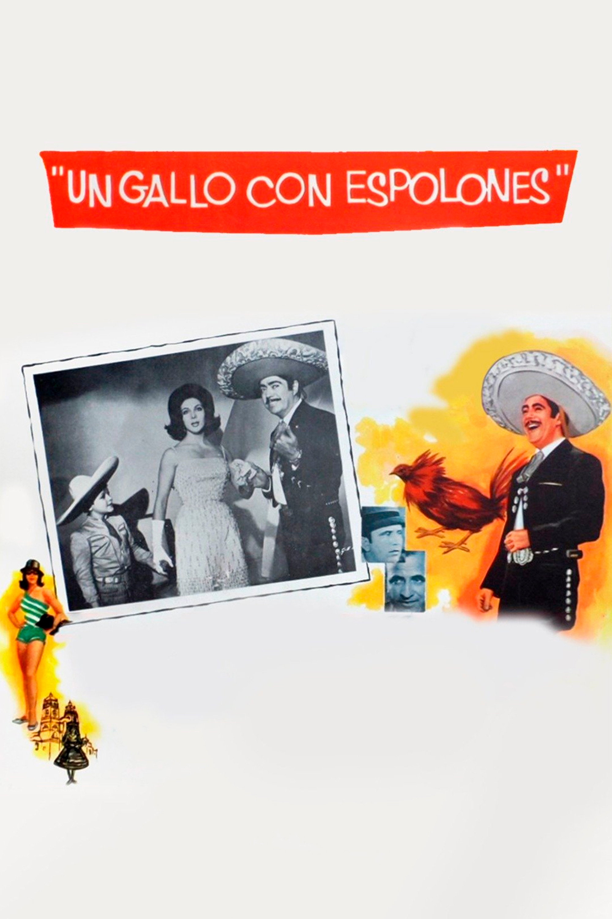 Un gallo con espolones (Operación ñongos)