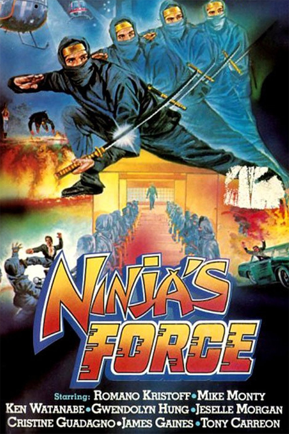 Die Macht der Ninja