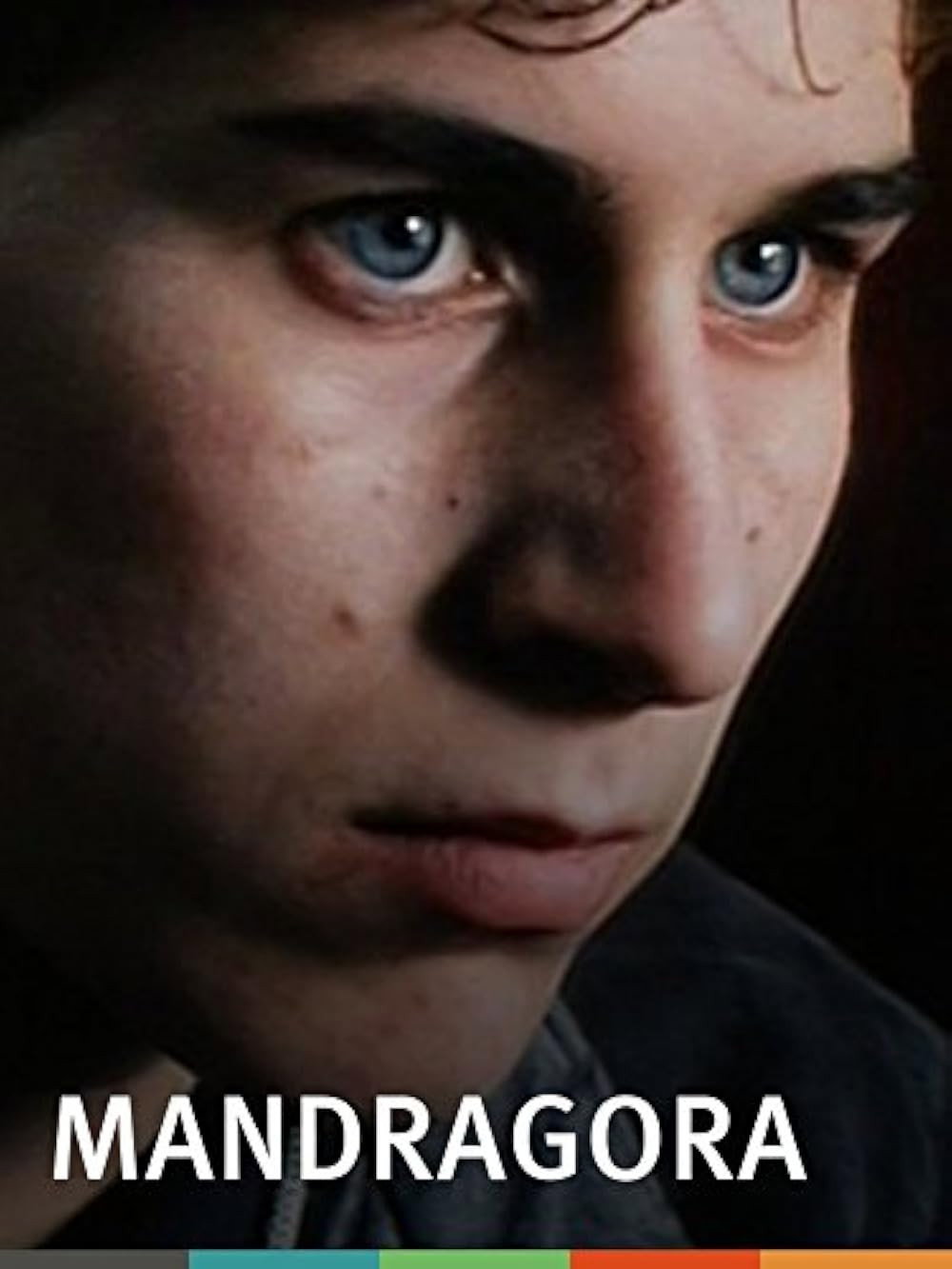Mandragora