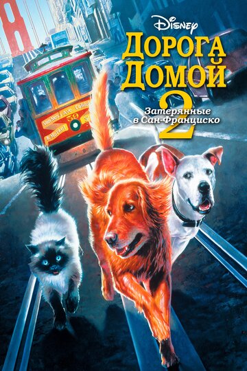 Homeward Bound II: Lost in San Francisco