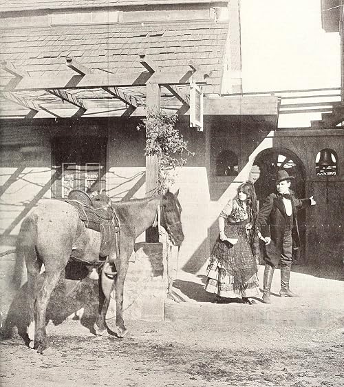 The Rose of California