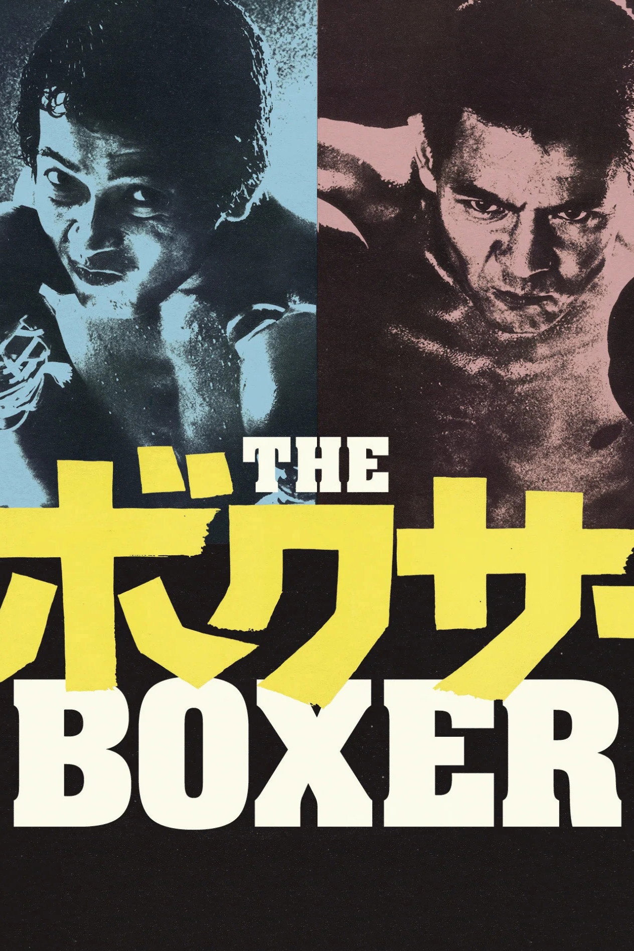 Boxer
