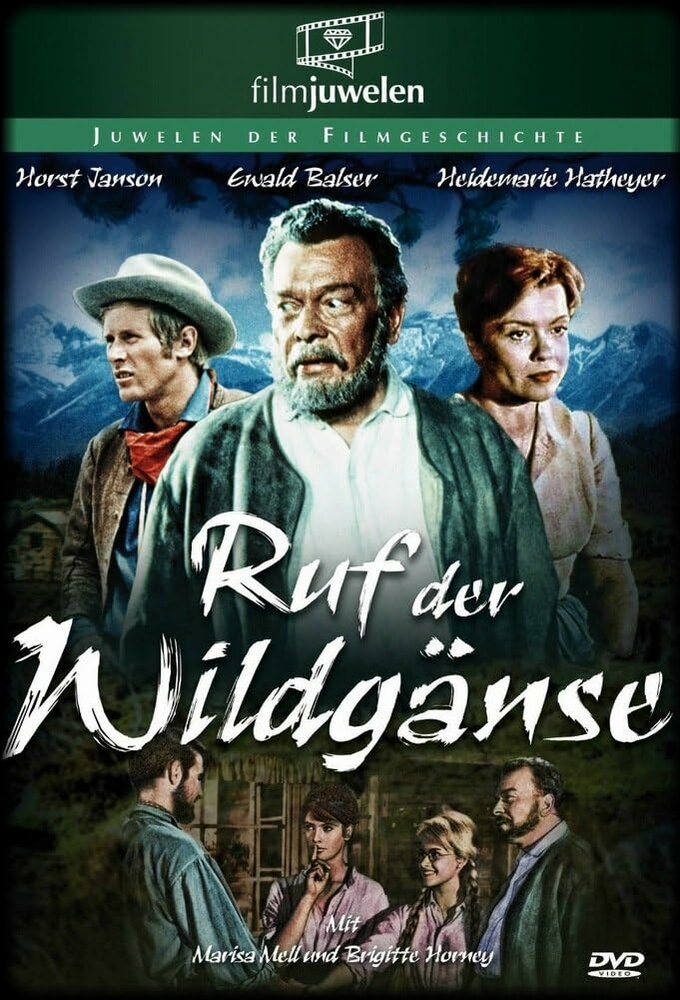 Ruf der Wildgänse