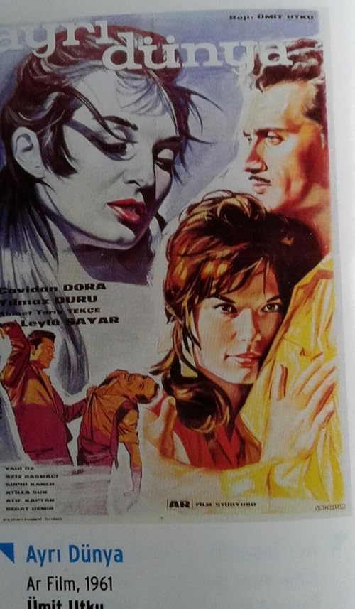 Ayri dünya