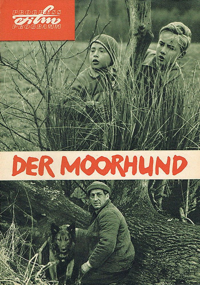 Der Moorhund