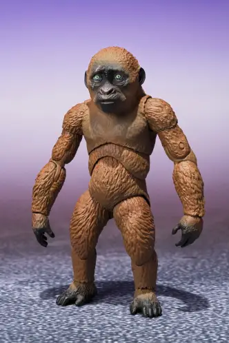Син Конґа