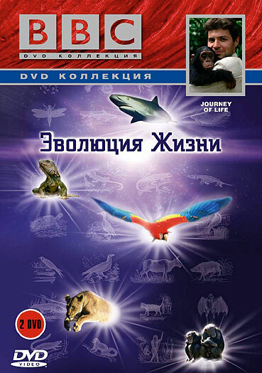 Journey of Life