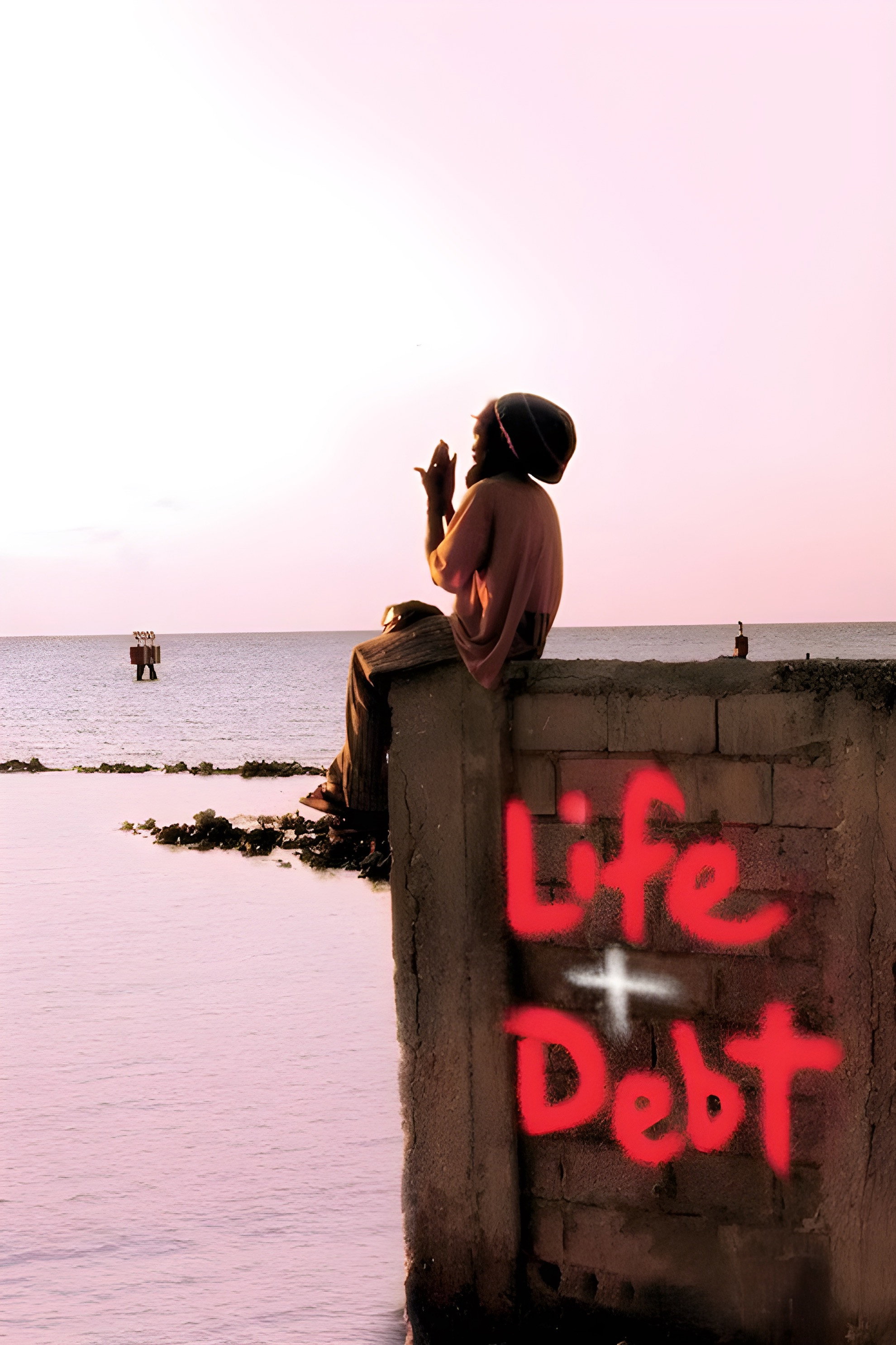 Life and Debt