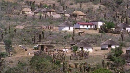 The Tribal Mind
