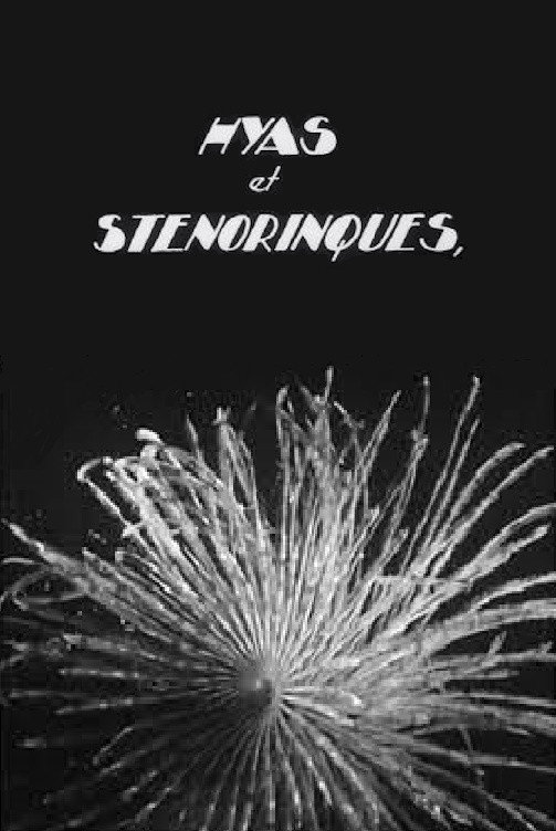 Морские ракообразные